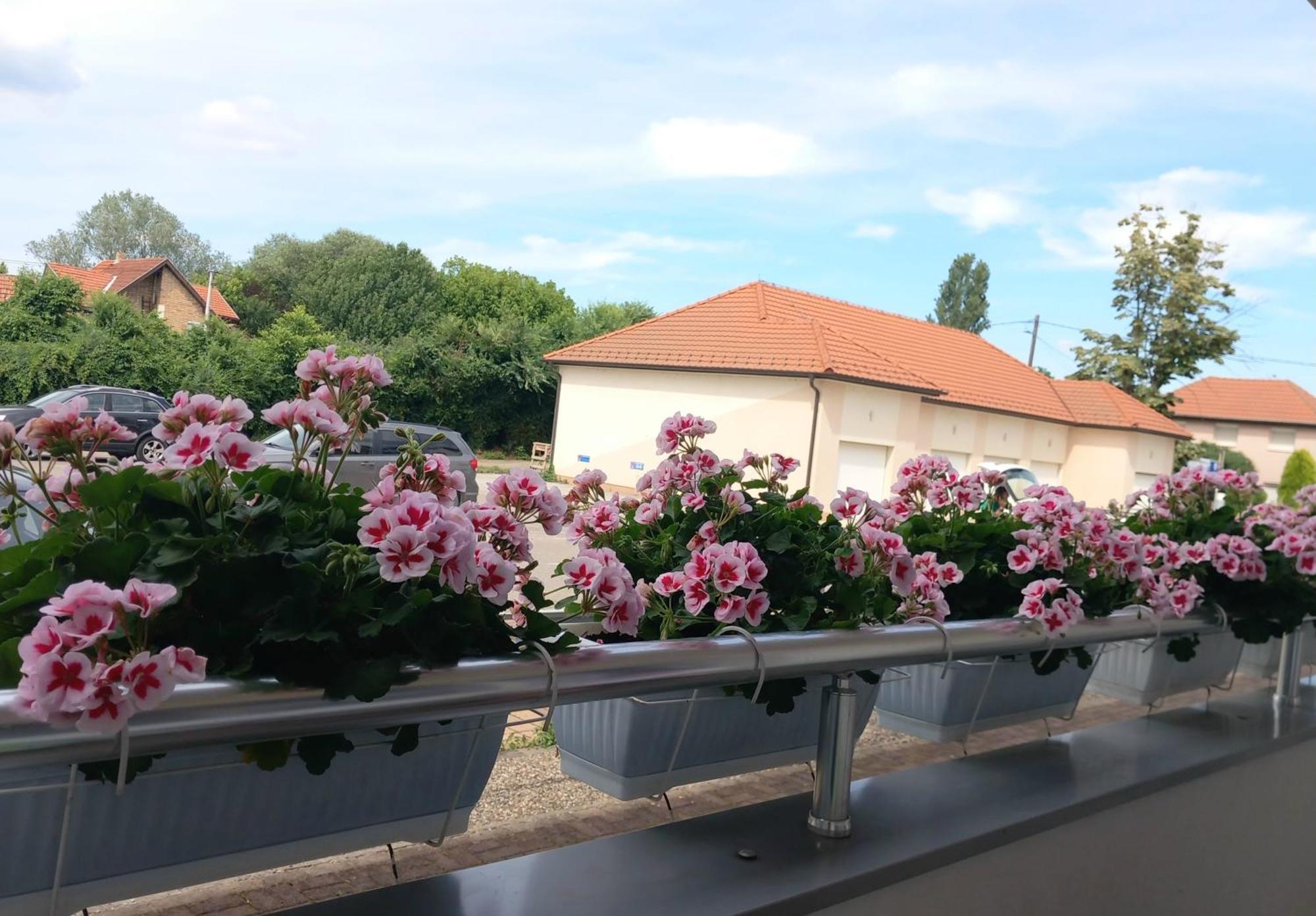 Ferienwohnung Svjetlanalex 1 Banja Koviljača Exterior foto